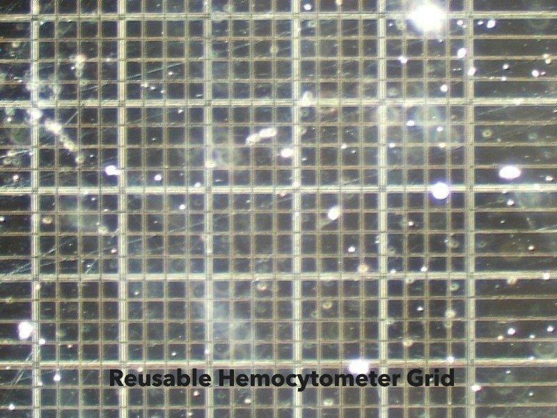 Reusable Hemocytometer Grid