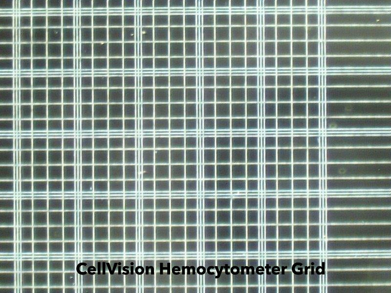 Actual grid - CellVision Hemocytometer Disposable Glass Neubauer Improved Counting Chamber
