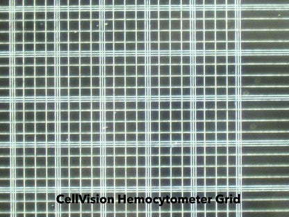Actual grid - CellVision Hemocytometer Disposable Glass Neubauer Improved Counting Chamber
