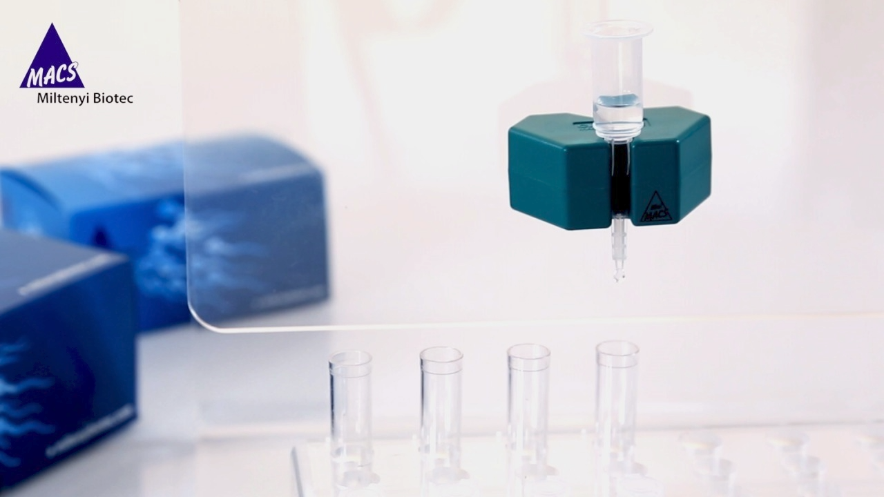 MACS ART Annexin V System for Sperm Selection IVF